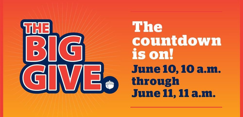 Mark Your Calendar for The Big Give!