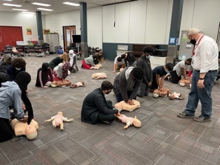 Summer Wellness First Aid
